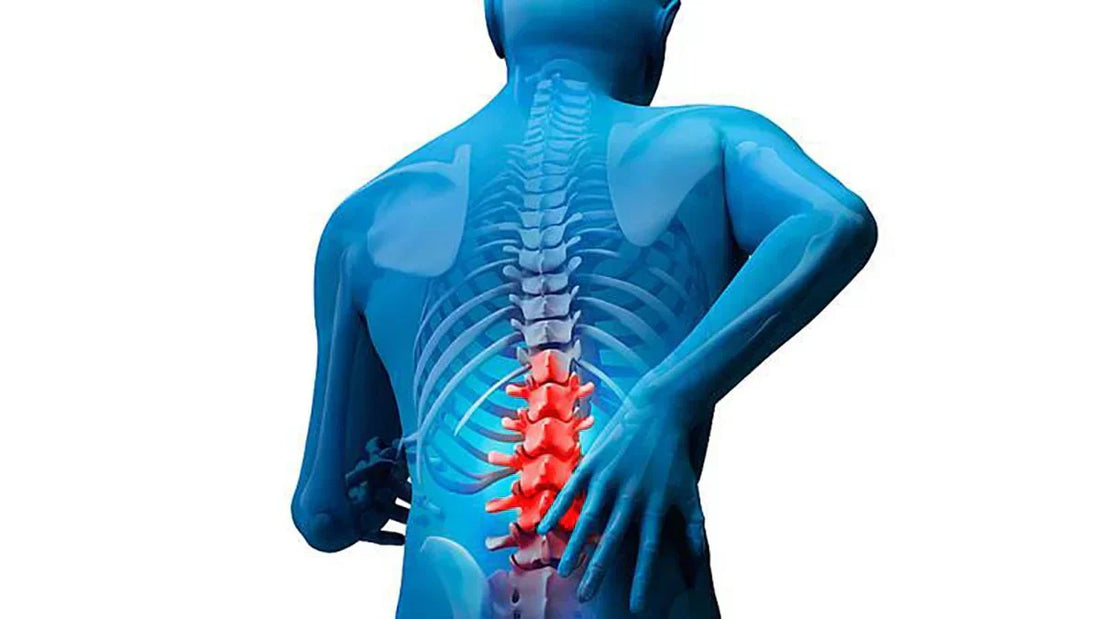 La Ciencia Detrás de la Corrección Postural