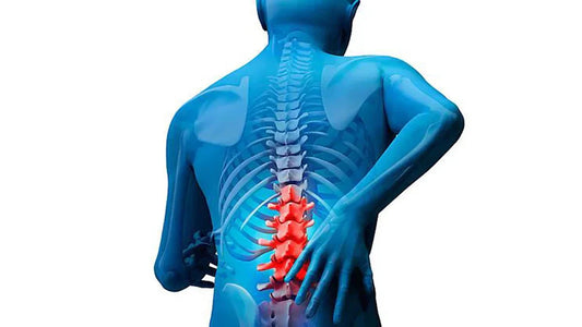 La Ciencia Detrás de la Corrección Postural